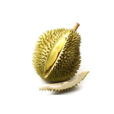 LQF frozen Monthong durian premium quality golden pillow durian new crop best for wholesales