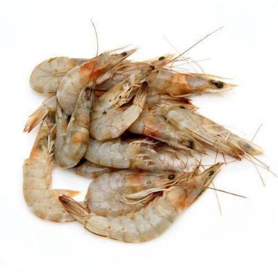 frozen fresh shrimp seafood black tiger prawn OEM box style packaging whole shrimp.