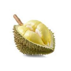 LQF frozen Monthong durian premium quality golden pillow durian new crop best for wholesales