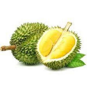 Durian For Sales Export Grade Fresh Fruit Monthong Durian Thai Fruit Thai Durian Monthong Premium Fresh Cut.