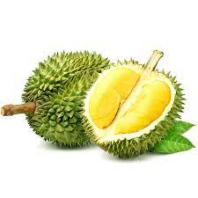 Durian For Sales Export Grade Fresh Fruit Monthong Durian Thai Fruit Thai Durian Monthong Premium Fresh Cut.