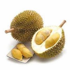 Fast Delivery Fresh Durian Monthong Eat Directly Sweet And Fatty Taste Organic Packed In Box