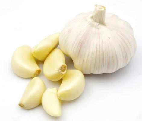 Cheap Wholesale Top Quality Fresh Peeled Garlic In Bulk