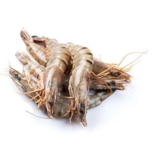 frozen fresh shrimp seafood black tiger prawn OEM box style packaging whole shrimp.