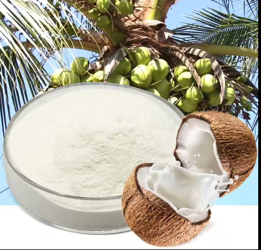 wholesale coconut milk powder