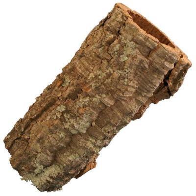 Virgin Bark Cork background 10cm width x 30cm length natural cork bark for reptile terrarium