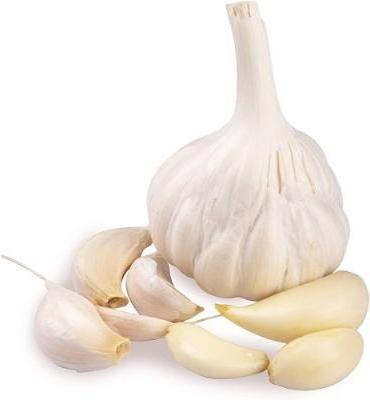 Cheap Wholesale Top Quality Fresh Peeled Garlic In Bulk