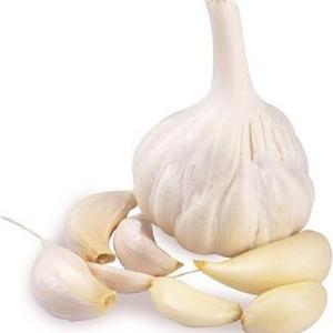 Cheap Wholesale Top Quality Fresh Peeled Garlic In Bulk