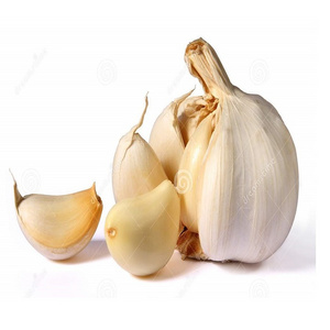 Fresh garlic Thailand New Crop 2022 Supply Garlic Normal White And Pure White Alho Ajo From Wholesale