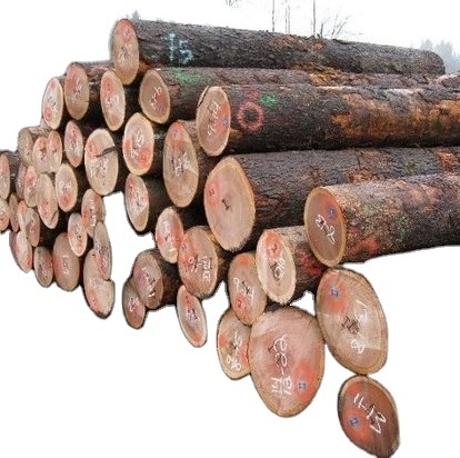 Eucalyptus Hardwood Softwood Round Wood Logs, Eucalyptus Wood Logs, Natural Eucalyptus Wood Logs