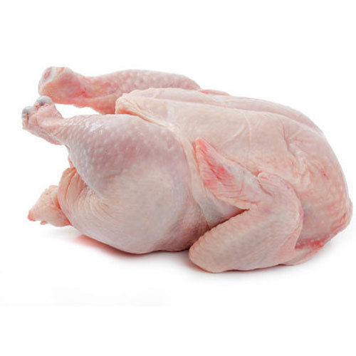 BUY USA/ BRAZIL FROZEN CHICKEN FEET HALAL CHICKEN PAWS WHOLESALE/ Wholesale frozen chicken feet (Paws)