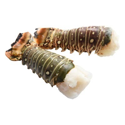 Frozen Lobster / Frozen Lobster Tails / Fresh Live Lobsters