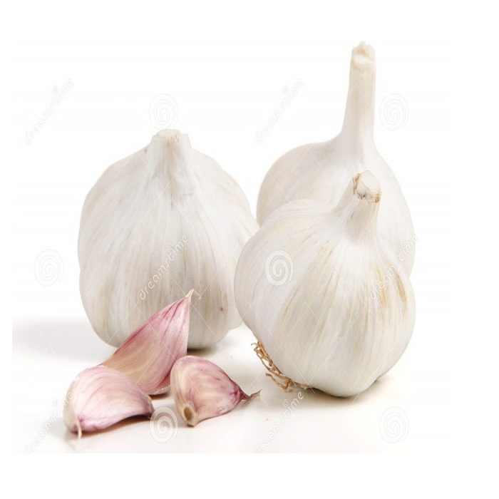 Fresh garlic Thailand New Crop 2022 Supply Garlic Normal White And Pure White Alho Ajo From Wholesale