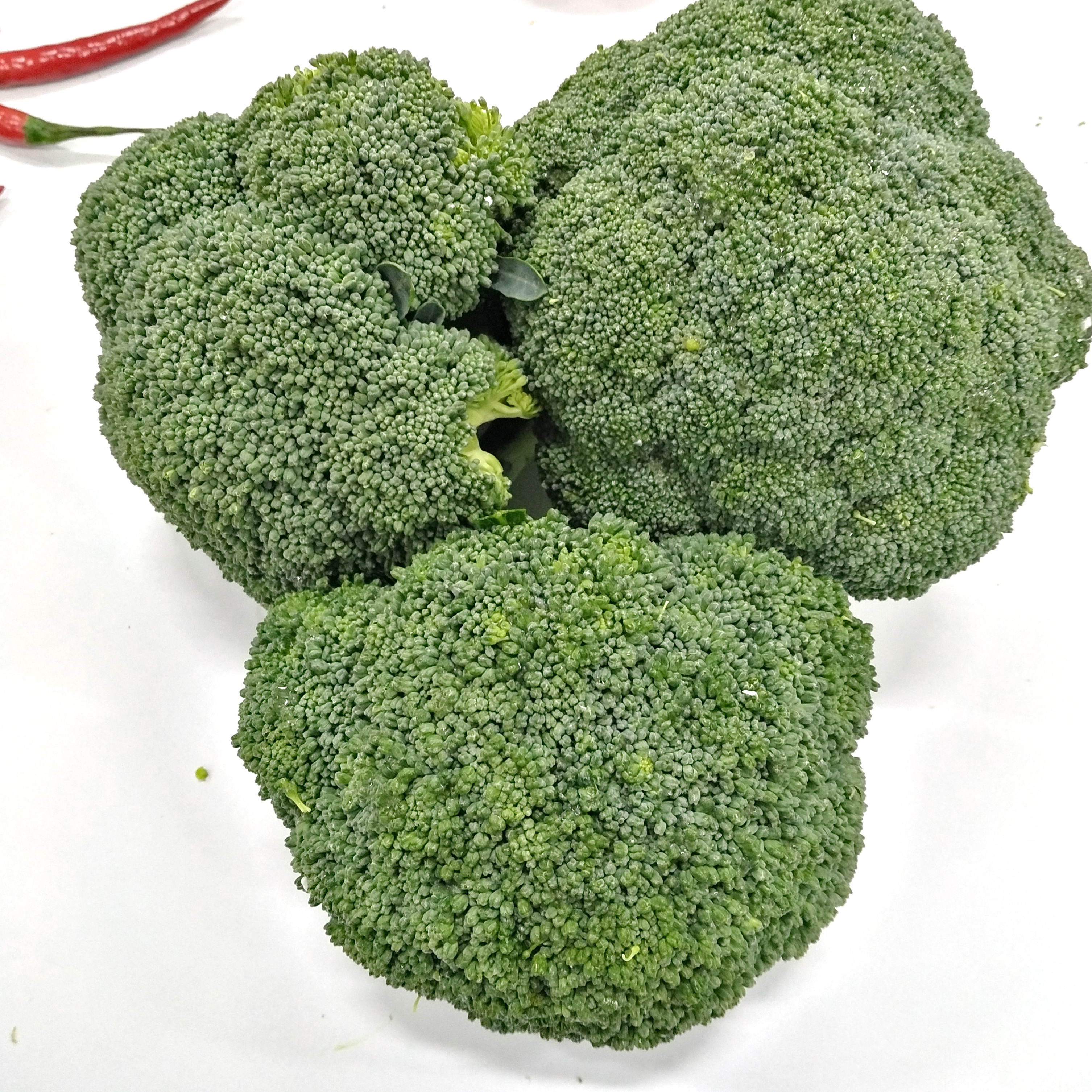 Super Fresh Broccoli Worldwide Exporters