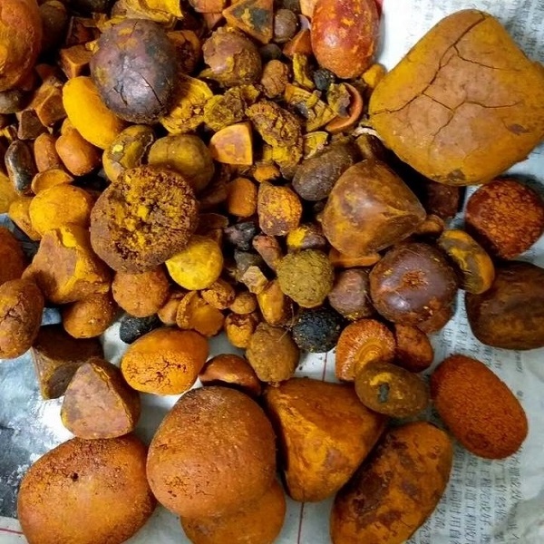 100% Best quality natural Ox Gallstones Cattle Gallstones Cow Gallstones Buy Cow Gall Stones for sale