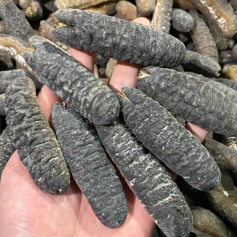 Sea Cucumber is good price and quality