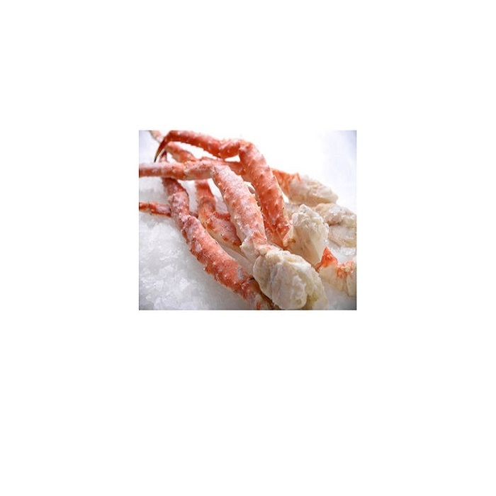 LIVE MUD CRAB Top Quality Mud Crab Live Competitive Price From Thailand at wholesale price