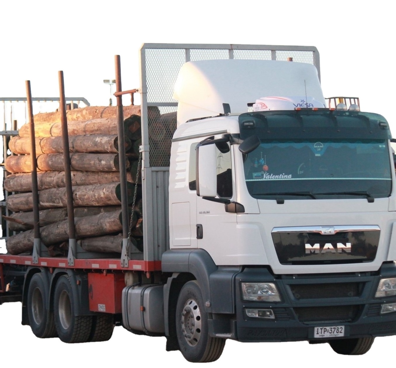 Top Selling Oak, Eucalyptus Wood Logs, Natural Eucalyptus Wood Logs