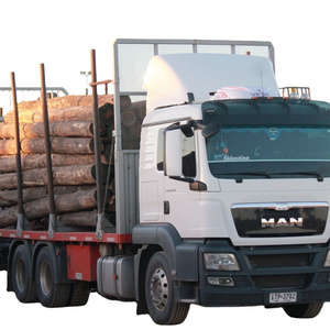 Top Selling Oak, Eucalyptus Wood Logs, Natural Eucalyptus Wood Logs