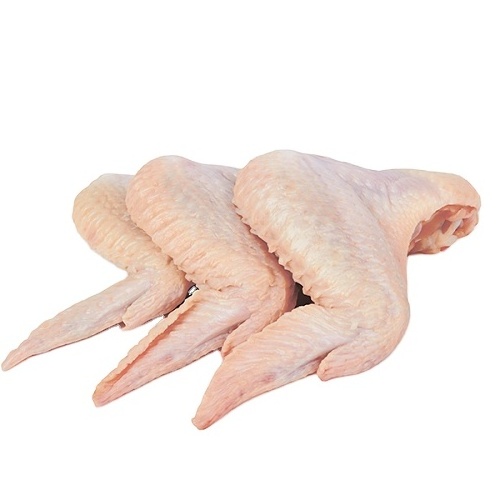 BUY USA/ BRAZIL FROZEN CHICKEN FEET HALAL CHICKEN PAWS WHOLESALE/ Wholesale frozen chicken feet (Paws)