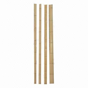 Sale 2023!!! Bamboo In Vietnam Eco Friendly Sustainable Bamboo Poles/ Raw Bamboo Poles/ Bamboo Pole