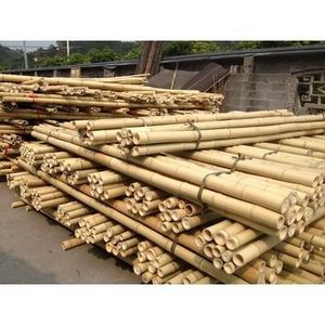 Sunbelt Factory Wholesale Cheap Price Natural Artificial Bamboo Poles for Indoor Outdoor Decoration