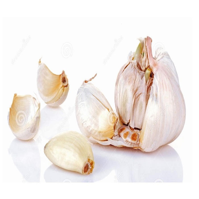 Fresh garlic Thailand New Crop 2022 Supply Garlic Normal White And Pure White Alho Ajo From Wholesale