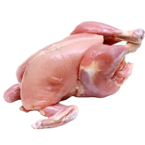 BUY USA/ BRAZIL FROZEN CHICKEN FEET HALAL CHICKEN PAWS WHOLESALE/ Wholesale frozen chicken feet (Paws)