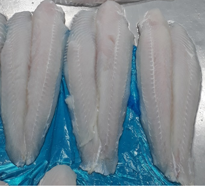 Vietnam Fresh Frozen Cream Dory Fish fillet/ Pangasius fillet