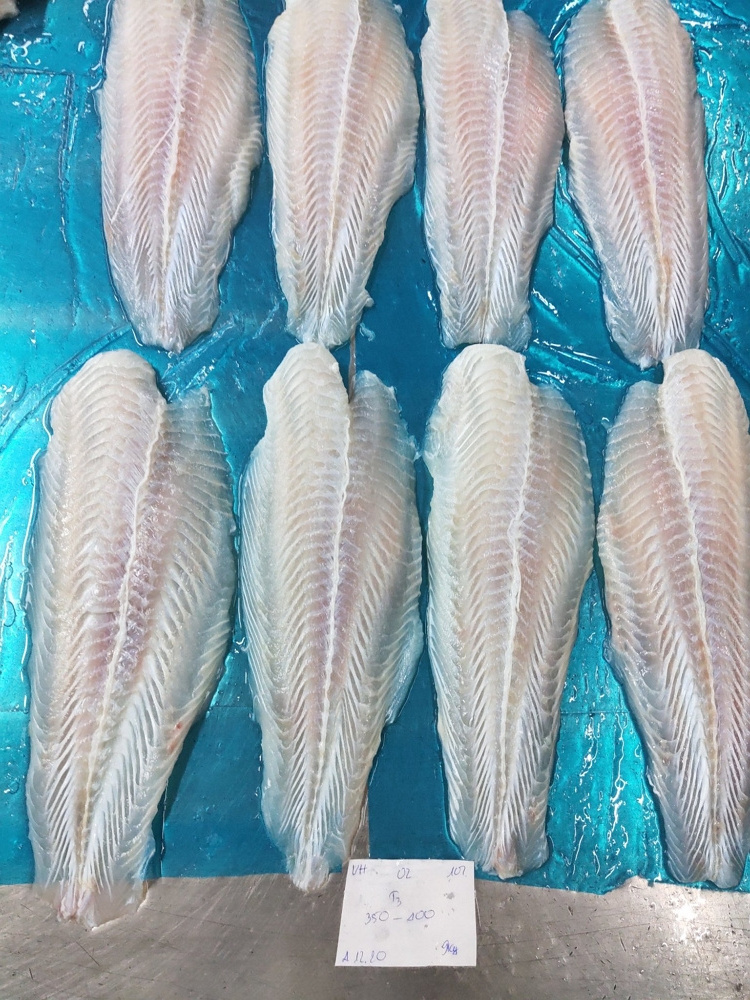 Vietnam Fresh Frozen Cream Dory Fish fillet/ Pangasius fillet