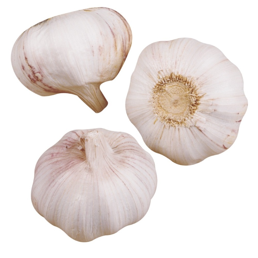 Organic 10kg packing garlic fresh snow white garlic for sale