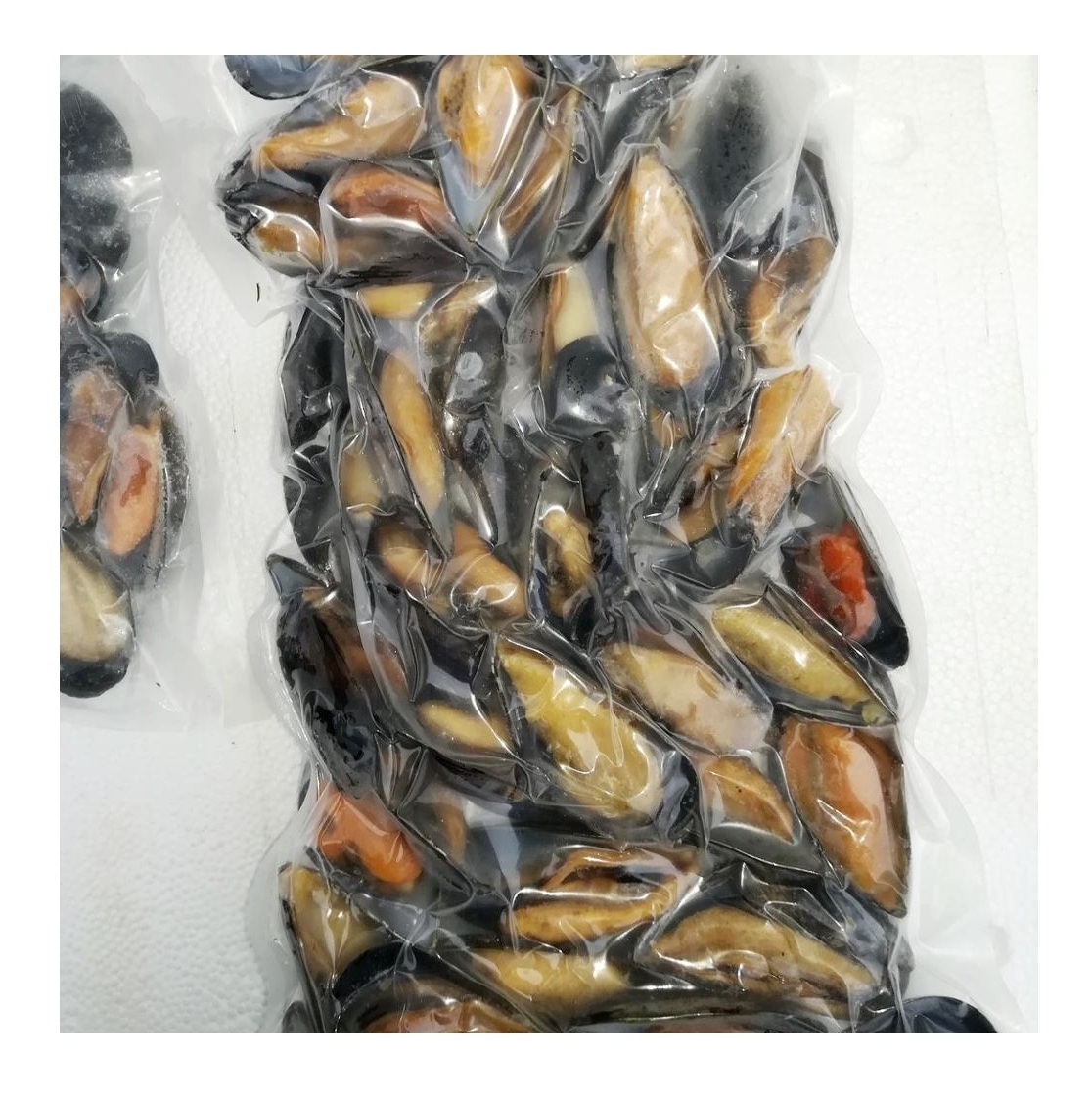 High Quality Cheap Wholesale Price Frozen Seafood Musses With Shell / Mussels Meat For sale