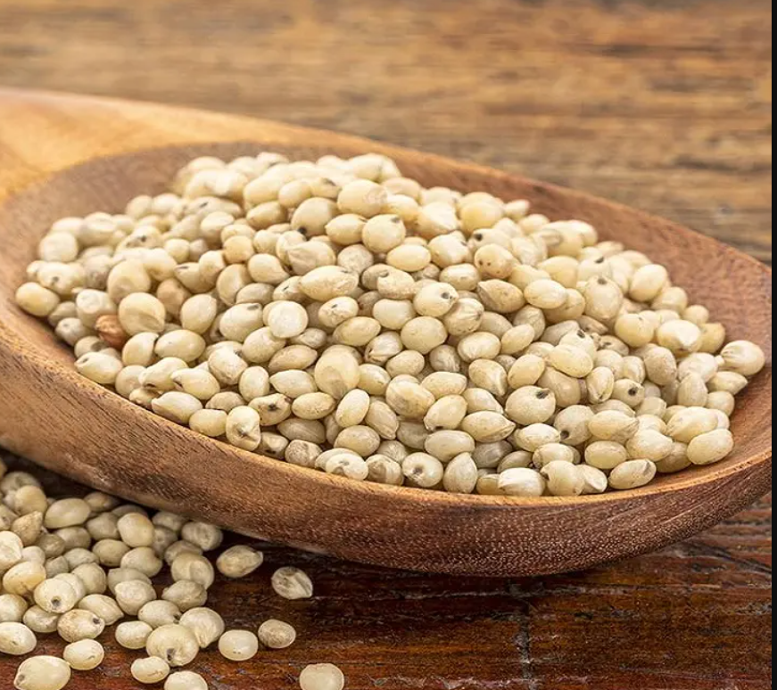 Grain Sorghum Seed Manufacturers In Thailand