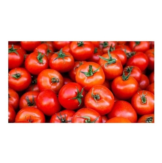 Cheap Price Supplier Fresh Beef Tomato At Wholesale Price With Fast Shipping