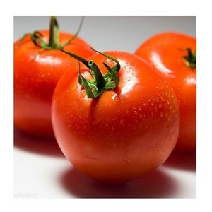 Cheap Price Supplier Fresh Beef Tomato At Wholesale Price With Fast Shipping