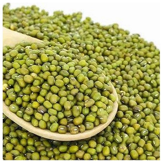 High Quality Green Mung Beans Green Vigna Beans Green Gram Beans