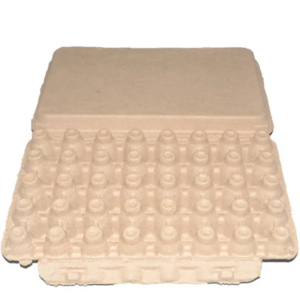 Environment-friendly Egg Tray Carton with Cover Pulp Moulding 12 20 Eggs Carton/tray/box