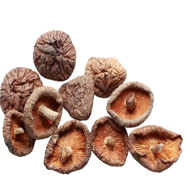 Wholesale Organic Edible Dried Shiitake Flower Mushroom Matsutake Fungus Mushroom