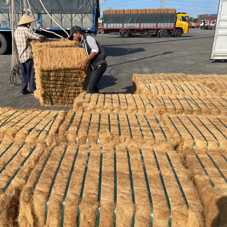 Premium quality 2023 Coconut Fiber for sale