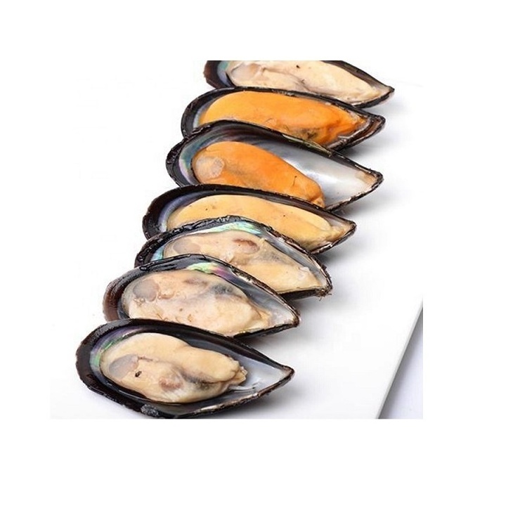 High Quality Cheap Wholesale Price Frozen Seafood Musses With Shell / Mussels Meat For sale