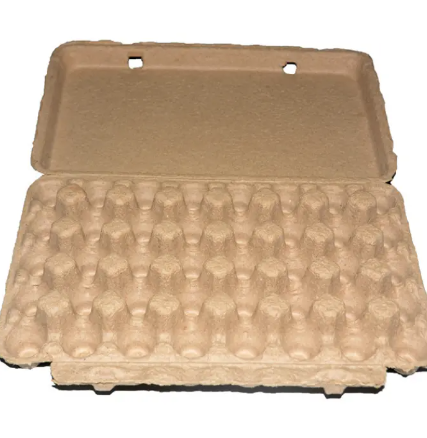 Environment-friendly Egg Tray Carton with Cover Pulp Moulding 12 20 Eggs Carton/tray/box