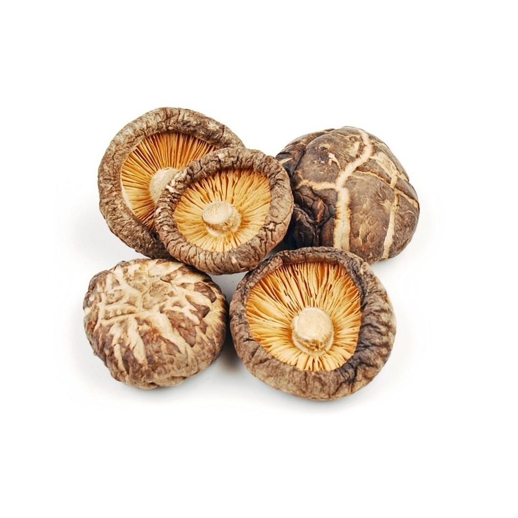 Best Quality Low Price Bulk Stock Available Of Dried mushrooms For Export World Wide From Thailand