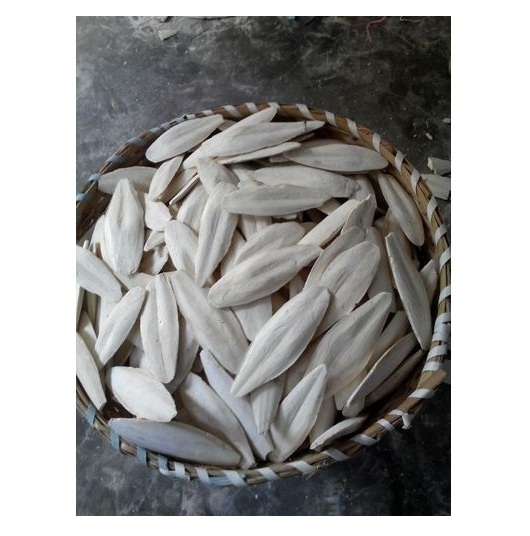 HOT SALE DRIED SQUID FOR SOUP/ DRIED CUTTLE FISH