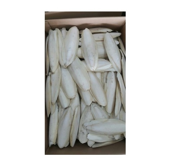 HOT SALE DRIED SQUID FOR SOUP/ DRIED CUTTLE FISH