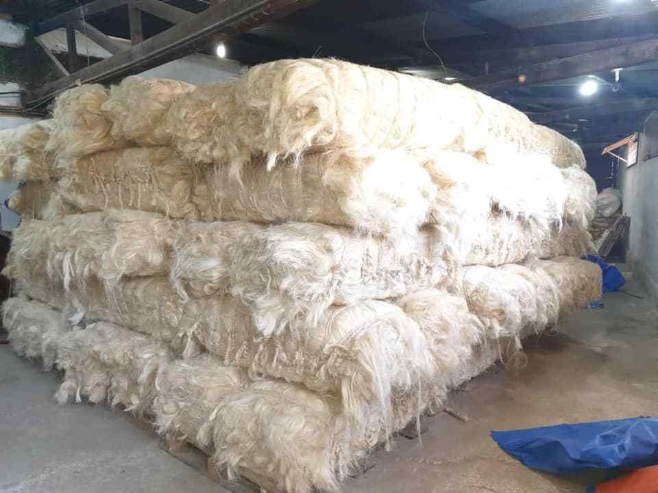 Cheap Sales Of Quality Sisal Fibre Sisal Hemp Natural Grade Sisal Fiber For Exportation at Factory Prices