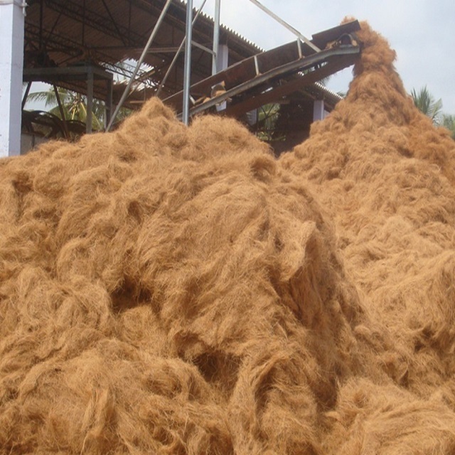 Premium quality 2023 Coconut Fiber for sale