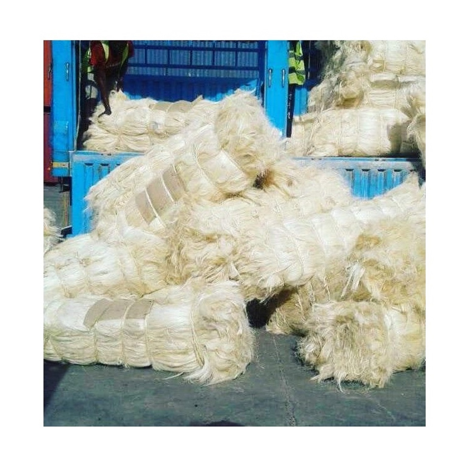 Cheap Sales Of Quality Sisal Fibre Sisal Hemp Natural Grade Sisal Fiber For Exportation at Factory Prices