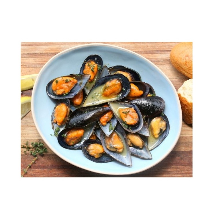 High Quality Frozen Seafood Musses With Shell / Mussels Meat Available For Sale At Low Price