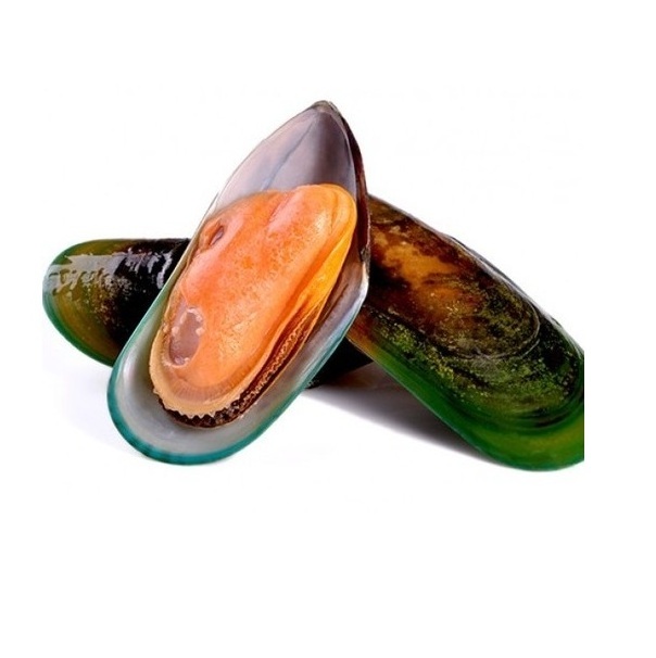 High Quality Cheap Wholesale Price Frozen Seafood Musses With Shell / Mussels Meat For sale