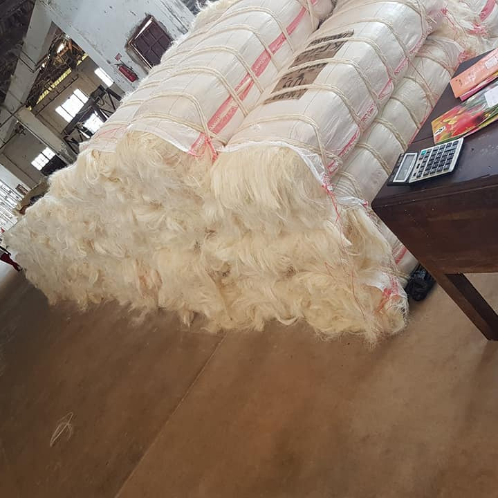 Natural UG Grade Sisal Fiber for sale